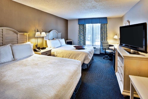 Hampton Inn By Hilton - Suites Cape Cod-West Yarmouth image 20